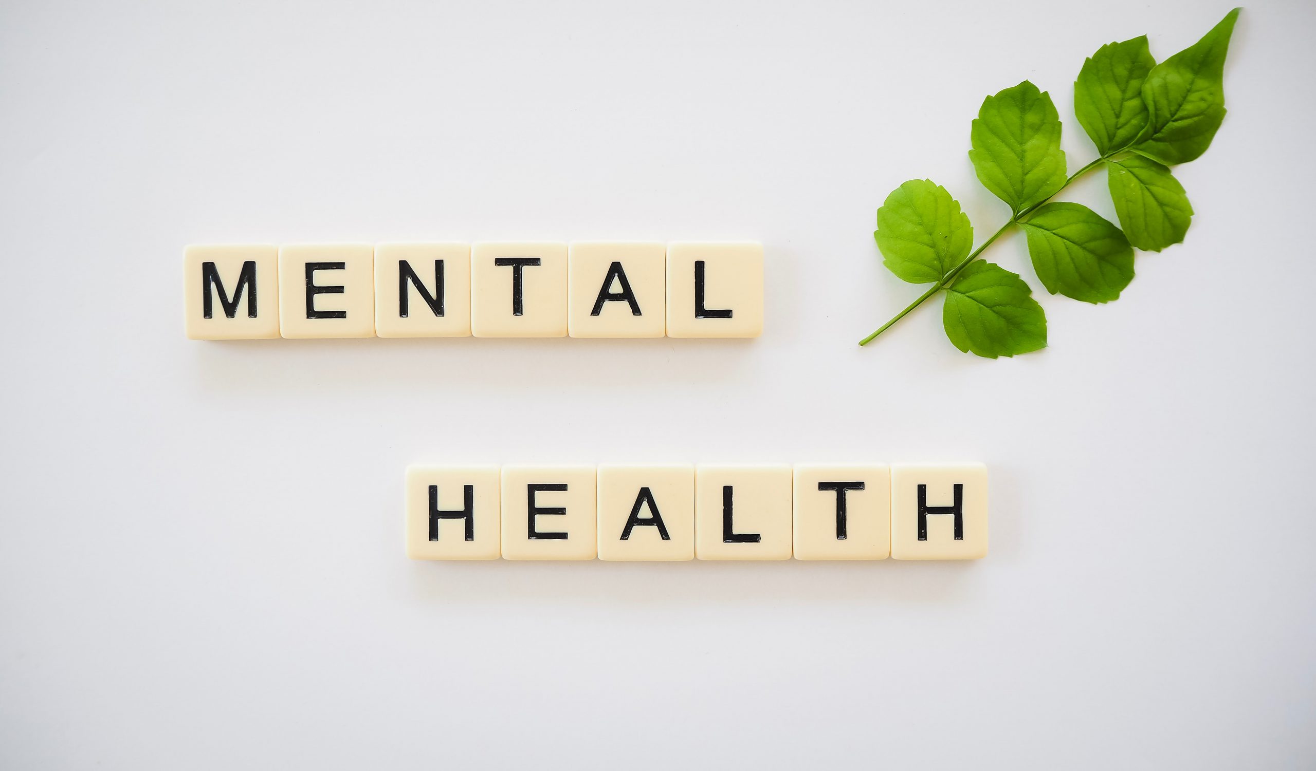 Mental health care for all: let’s make it a reality (Mental Health in an Unequal World)